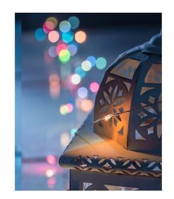 Konstsmide Guirlande Lumineuse Int Rieure Led | Guirlande Lumineuse Avec Changement De Couleur, 50 Diodes Led