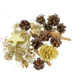 Riffelmacher & Weinberger Pot Pourri Senteurs No L | Pot Pourri M Lange Pomme De Pin, Cannelle, Mousse, D Co, 100 G